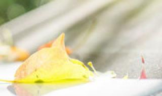 qq头像男生 qq头像男生