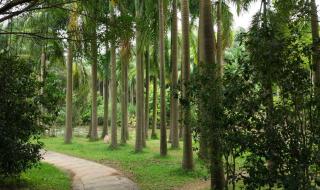 番禺滴水岩森林公园 番禺滴水岩森林公园